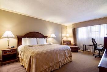 Room, 1 King Bed, Non Smoking, Poolside
