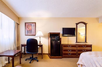Room, 1 King Bed, Non Smoking, Poolside