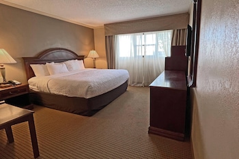 Room, 1 King Bed, Accessible, Non Smoking
