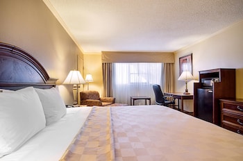 Room, 1 King Bed, Non Smoking, Poolside