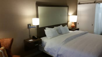 Room, 1 King Bed, Non Smoking, Refrigerator & Microwave