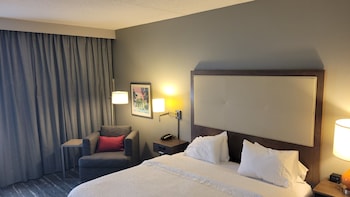 Room, 1 King Bed, Accessible (Hearing, Shower)