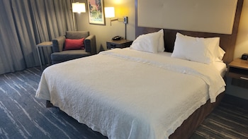 Room, 1 King Bed, Accessible (Hearing, Shower)