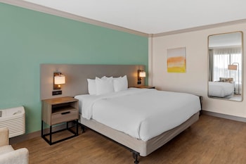 Room, 1 King Bed, Non Smoking