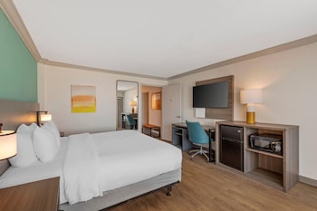Room, 1 King Bed, Non Smoking