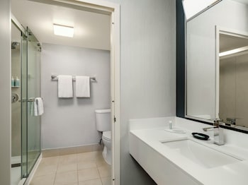 Room, 1 King Bed with Sofa bed