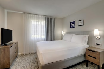 Suite, 1 Queen Bed with Sofa bed (One Bedroom)