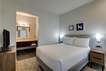 Suite, 1 Queen Bed with Sofa bed (One Bedroom)