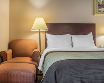 Standard Room, 2 Double Beds