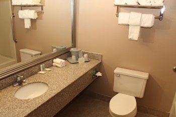 Standard Room, 1 Queen Bed, Accessible