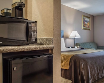 Standard Room, 1 King Bed with Sofa bed, Jetted Tub