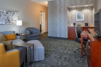 Superior Suite, 1 King Bed with Sofa bed (One Bedroom)