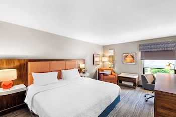 One king bed deluxe room non smoking