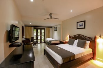 Room, Garden View
