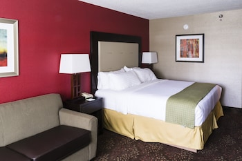 Standard Room, 1 King Bed with Sofa bed