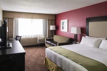 Standard Room, 1 King Bed with Sofa bed