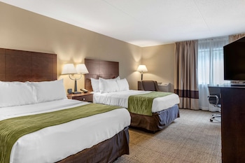 Standard Room, 2 Double Beds, Accessible, Non Smoking (Accessible Bathtub)