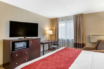 Standard Room, 1 King Bed, Non Smoking