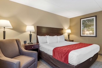 Standard Room, 1 King Bed, Non Smoking