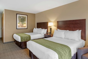 Standard Room, 2 Double Beds, Accessible, Non Smoking (Accessible Bathtub)