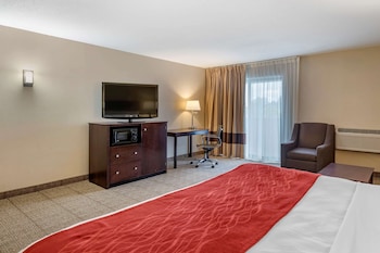 Room, 1 King Bed with Sofa bed, Non Smoking