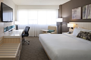 Room, 1 King Bed