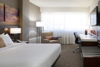 Room, 1 King Bed