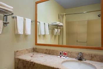 Room, 1 King Bed, Non Smoking (Second Floor)