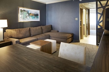 Suite, Accessible, Bathtub