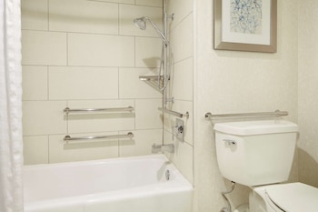 Suite, Accessible, Bathtub