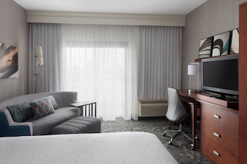 Room, 1 King Bed, Smoking