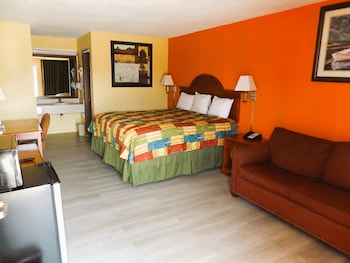 Deluxe Single Room, 1 King Bed, Smoking, Refrigerator & Microwave