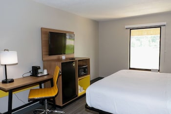 Room, 1 King Bed, Non Smoking