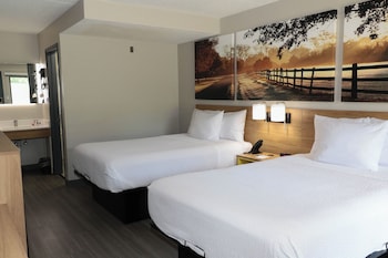Standard Room, 2 Double Beds, Non Smoking