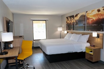 Room, 1 King Bed, Non Smoking