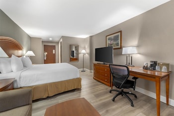 Standard Room, 1 King Bed, Non Smoking, Kitchenette (with Sofabed)
