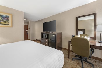 Standard Room, 1 King Bed, Accessible, Non Smoking