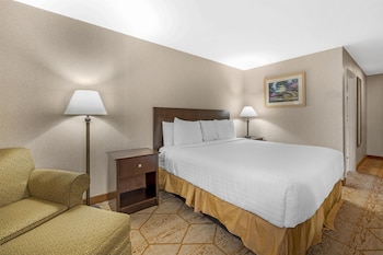 Standard Room, 1 King Bed, Accessible, Non Smoking