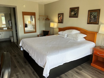 Standard Room, 1 King Bed, Smoking