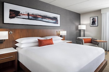 Room, 1 King Bed (Mobility/Hearing Accessible, Tub)