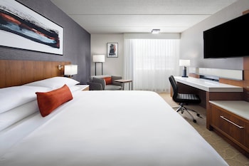 Room, 1 King Bed (Mobility/Hearing Accessible, Tub)