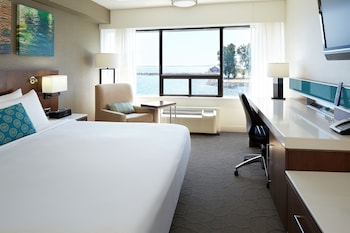 Room, 1 King Bed
