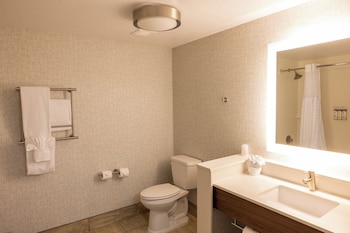 Standard Room, 1 King Bed, Accessible (Mobility Roll-In Shower)