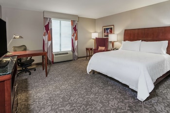 Room, 1 King Bed, Accessible, Bathtub (Mobility & Hearing)