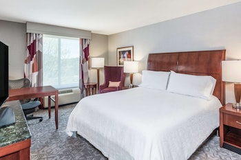 Room, 1 King Bed