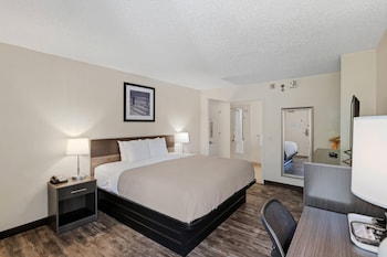 Room, 1 King Bed, Accessible, Non Smoking