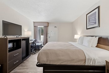 Room, 1 King Bed, Accessible, Non Smoking
