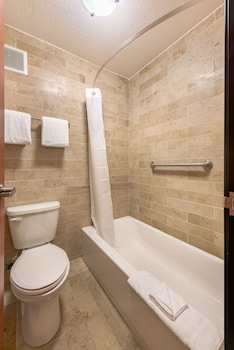 Deluxe Room, 1 King Bed