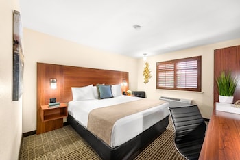 Standard Room, 1 King Bed, Accessible