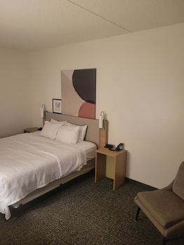 Room, 1 King Bed